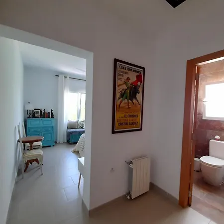 Villa Villa
